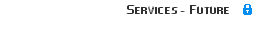 Services - Future