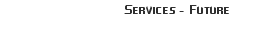 Services - Future